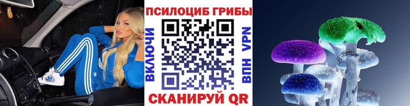 Галлюциногенные грибы мицелий  Межгорье 